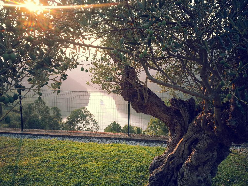 Quinta Das Tilias Douro Valley Cabaca Zewnętrze zdjęcie